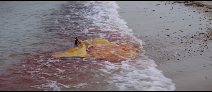 Heart of Sharkness: Jaws (Steven Spielberg, 1975)