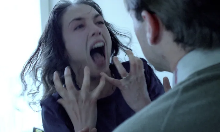 Das Room: Possession (Andrzej Żuławski, 1981)